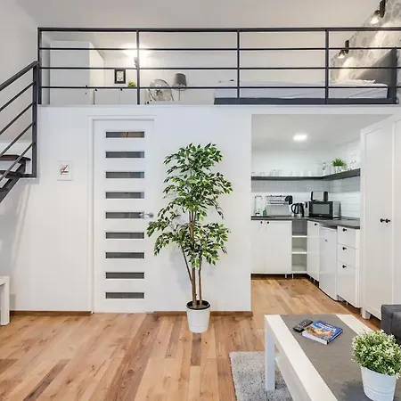 Choice Of Apartament *
